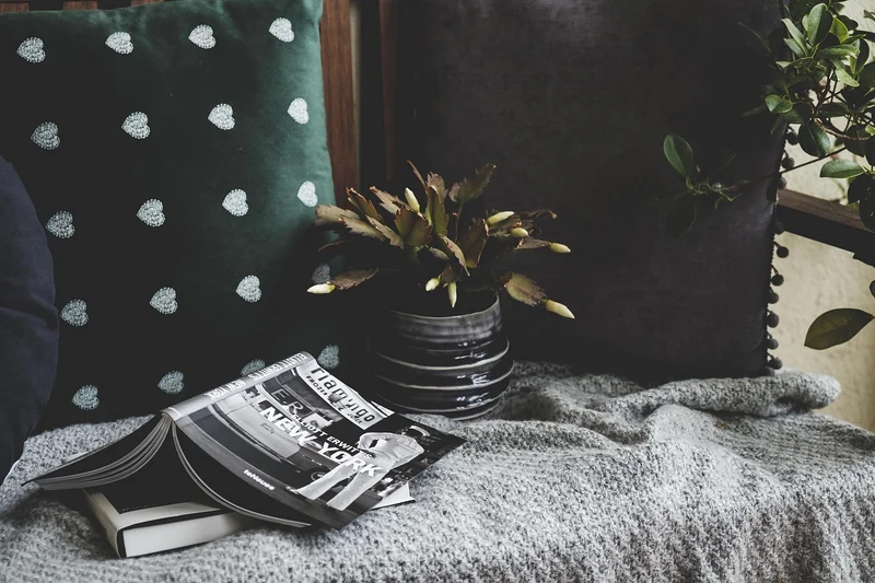 Où acheter son coussin chaise scandinave ?