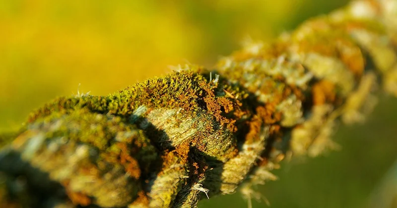 Gadgets connectés : ce qui marche vraiment et ce qui finit au tiroir