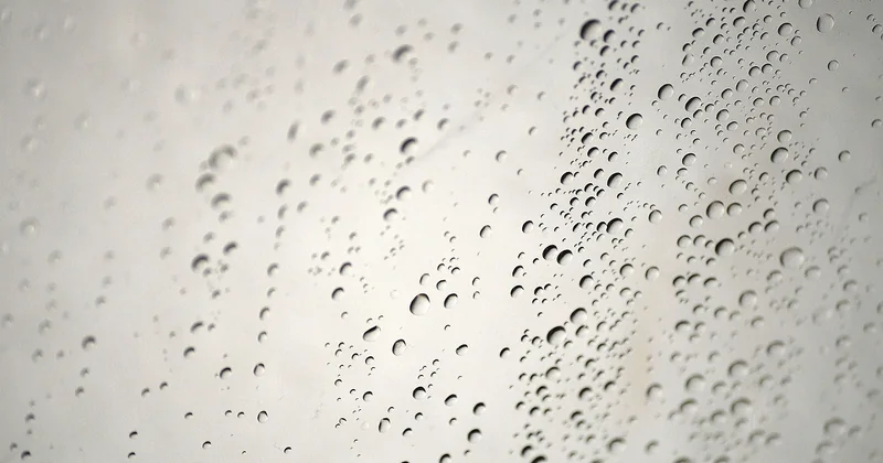 Gérer l'humidité : le cas de la salle de bain