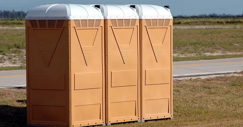 Pourquoi des vers apparaissent dans vos toilettes et pas ailleurs