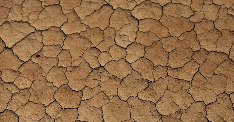 Éviter la craquelure : ce qui abîme vraiment la porcelaine