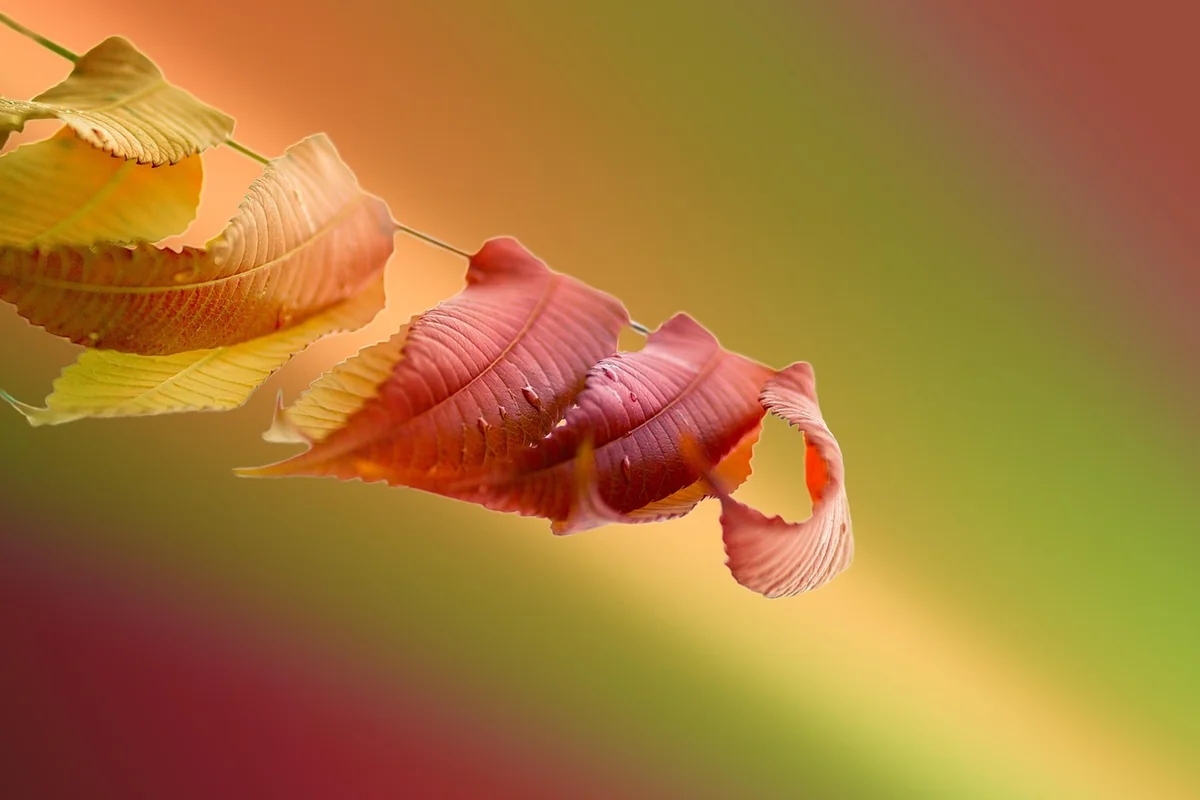 Le matériel indispensable pour un détartrage rapide et écologique